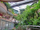 ☎∈ Rainforest precinct of 1 Utama shopping mall.