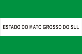 Unofficial flag used in Mato Grosso do Sul, 1977–1979.