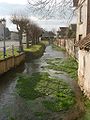 La Barse à Vendeuvre-sur-Barse