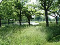 View from the trail over the little lake