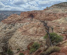 La Cassidy Arch, sculptée dans les grès Navajo, parc national de Capitol Reef[23].