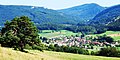 Vue sur Crémines