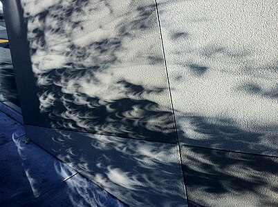 Crescent_Shadows_from_tree_on_wall_May_20_2012_Partial_Solar_Eclipse