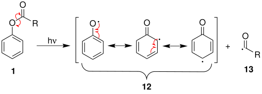 Mechanismus 1 der Photo-Fries-Umlagerung über Radikale