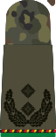 Oberstleutnant d.R. (Mech. infantry reserve)