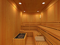 Modern sauna in Highgrove