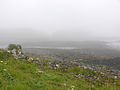 Paysage sur Lunga.