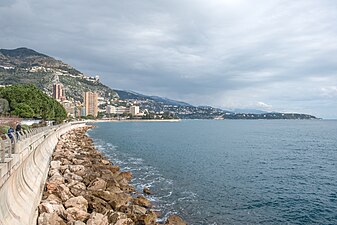 Monte Carlo 2013