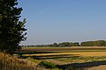 Landscape near Sint Annaland