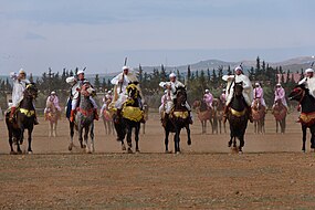 Espetáculo equestre de fantasia em Bni Drar