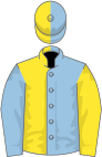 Light blue and yellow (halved), reversed sleeves, halved cap