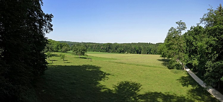 Panorama vom Erlebnisturm Waldpfad Binningen