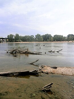 Vestiges du pont antique franchissant la Loire : ici au niveau de Fondettes.