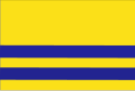 Bandeira de Arad