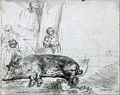 The Hog. Etching by Rembrandt van Rijn, 1643