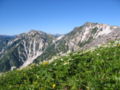 お花畑と白馬連峰