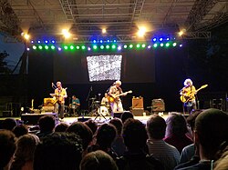 The Feelies performing in Central Park on July 18, 2016