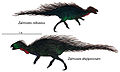 Zalmoxes illustration