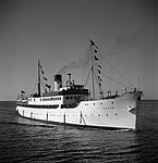 S/S Örnen, byggd 1909, ankommer till Malmö hamn. Örnen seglade på Malmö–Köpenhamn 1951–1959.