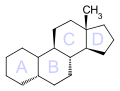 5β-Эстран