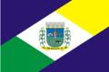 Bandeira de Bom Jesus do Sul