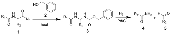 The Bergmann degradation