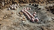 Salt balls near Tigui in Borkou province, Chad