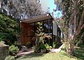 Photograph of the Eames House, a boxy building with a face of rectangles of various colors and clear glass, shaded by tall eucalyptus trees.