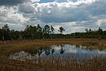 A pond in Farles Prairie.