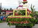 Rice Corn and Flower Festival in Bayugan