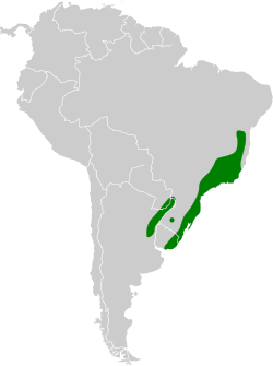 Distribución geográfica del colibrí negro.