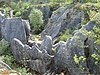 L'ensemble formé par le Fondry des Chiens et la pelouse calcaire du Tienne Sainte-Anne qui le jouxte