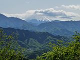 55番（高尾山）