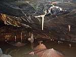 Gough's Cave, Cheddar Gorge