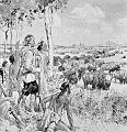 Henry Kelsey en compagnie d'Amérindiens observant des bisons dans les plaines. Lithograph.