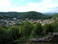 Blick auf Hohenecken von der "Burg Hohenecken" aus