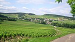 Vue d'une partie du vignoble de mercurey