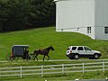 Carro Amish, Lancaster County, Pennsylvania