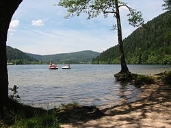 Lac de Longemer