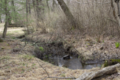 Manalapan Brook flowing behind Camp Topanemus in Millstone Township