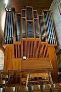 Weigle organ