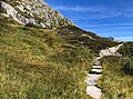 Bergweg im Moor und Zwergstrauchkolonien