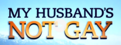 A logo for the American television special My Husband's Not Gay, featuring navy and orange gradient letters over a backdrop of the sky.