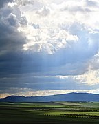 Vue d'un paysage typique des abords de Volubilis