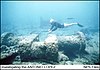 SS Antonio López Shipwreck Site and Remains