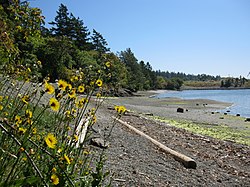 Portage Park on Thetis Cove