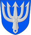 Wappen von Reisjärvi