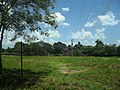 Vista de la hacienda de Sakolá.