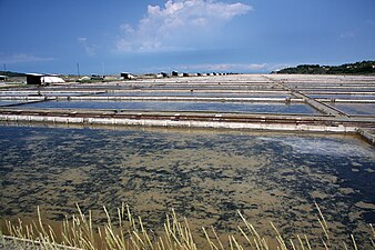 salins de Sečovlje (en)