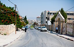 Gata i Jenin, 2011.